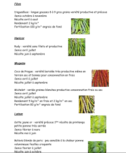 fiche legumes4