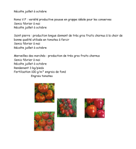 fiche legumes8