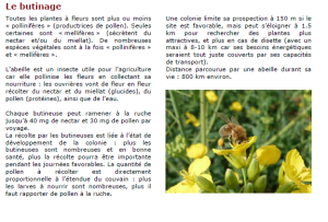 abeille5