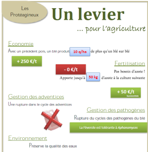 pois levier agro