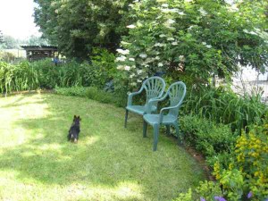 IMG_2050_web