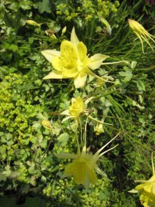 IMG_2059_web