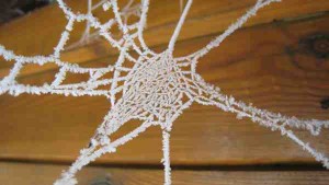 17j14_web