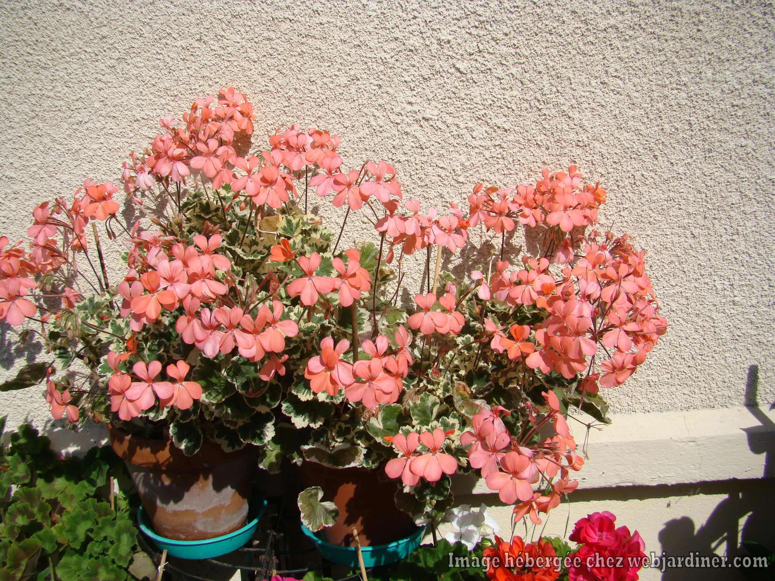 DSC02324.jpg