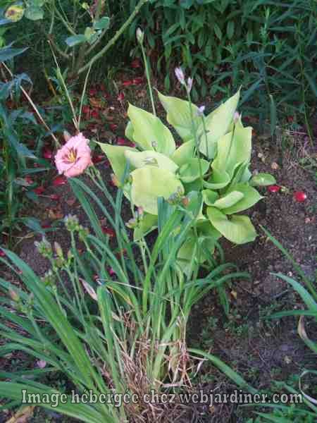 011_web.jpg 011_web.jpg
