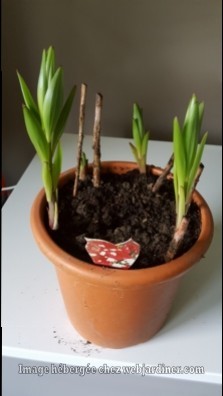 20170319_102004_web.jpg