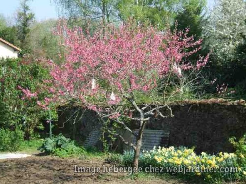 printemps 2017 009 web