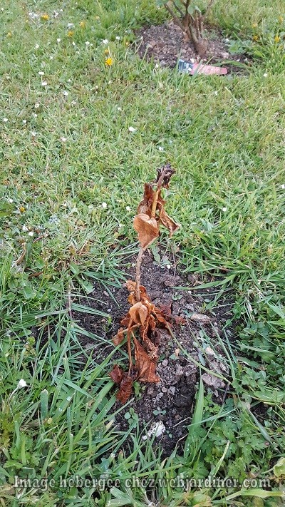 20170428_2055453.jpg 20170428_2055453.jpg