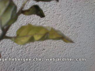 WiAx3.jpg WiAx3.jpg