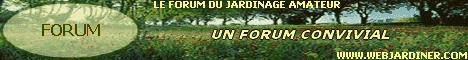 banniere1_forum.gif banniere1_forum.gif