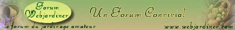 banniere2_forum.gif banniere2_forum.gif