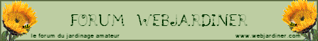 banniere4_forum.gif banniere4_forum.gif
