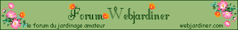 banniere6_forum.gif banniere6_forum.gif