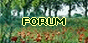 bouton2_forum.gif