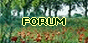 bouton2_forum.gif bouton2_forum.gif