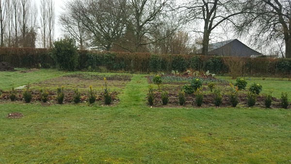 Mon jardin potager en hiver