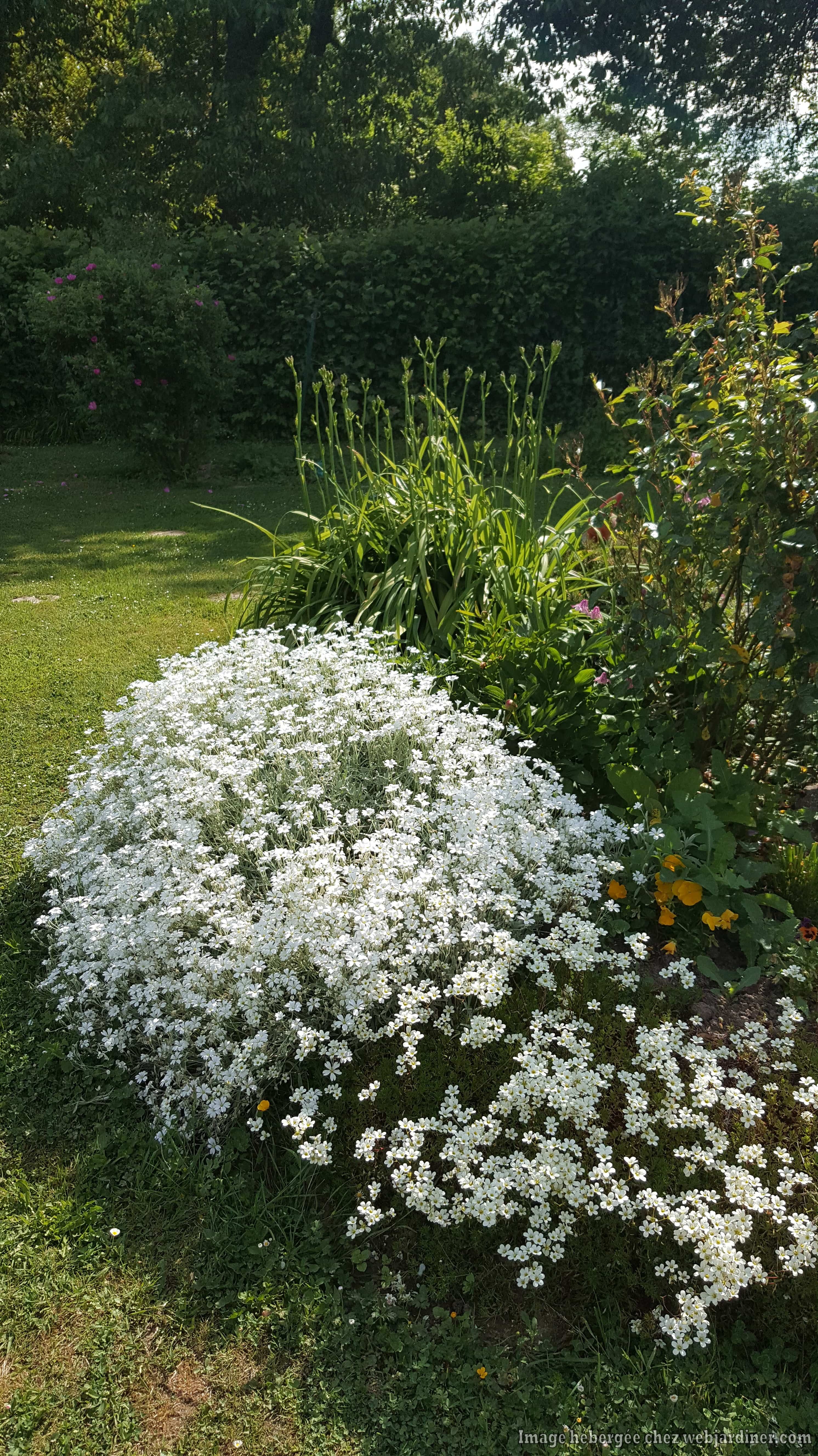 20170530_103023-min.jpg 20170530_103023-min.jpg