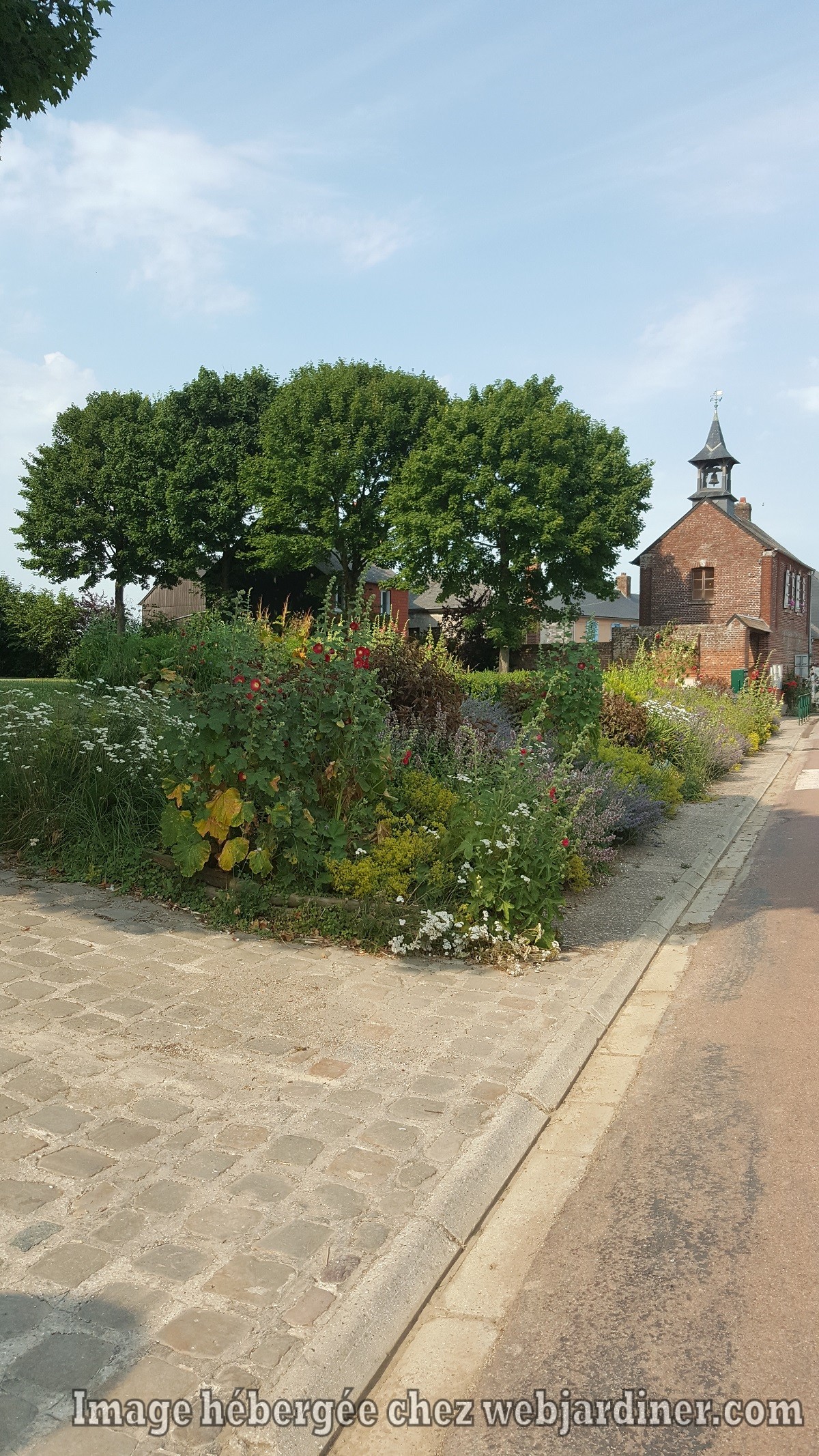 abords_mairie.jpg abords_mairie.jpg