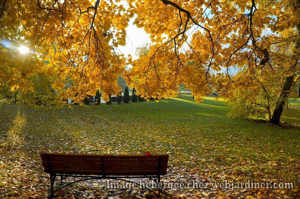 background-2752698_960_720.jpg background-2752698_960_720.jpg