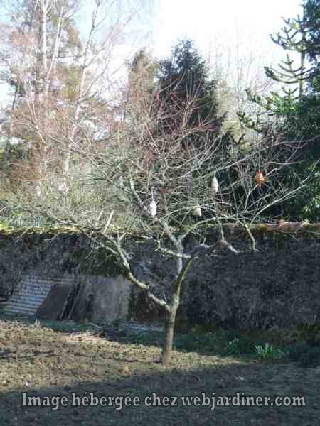 004_web.jpg 004_web.jpg