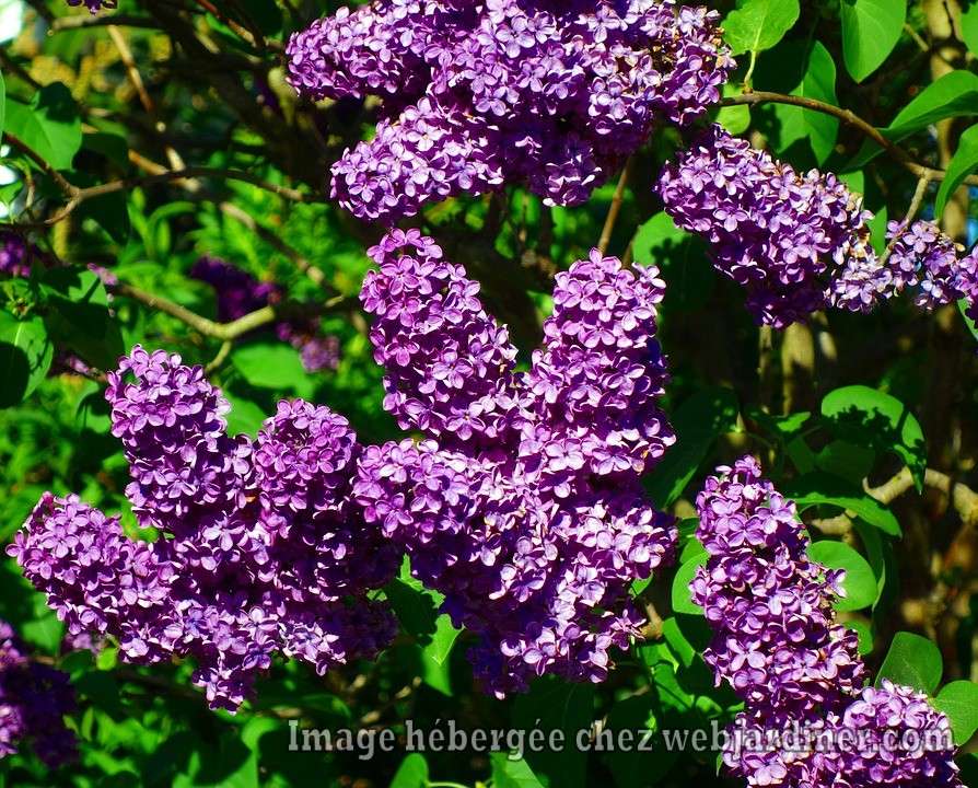 a418a905120d07985191aa92d0878d14.jpg a418a905120d07985191aa92d0878d14.jpg