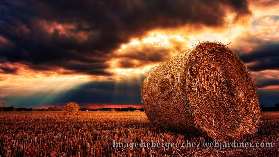 642602629ccc30be66ad35a785a9377a.jpg 642602629ccc30be66ad35a785a9377a.jpg