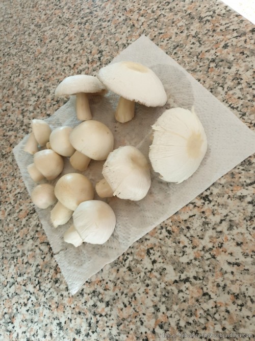 b75e5f78ef366e6dc404e20e68b8e9b9.md.jpg b75e5f78ef366e6dc404e20e68b8e9b9.md.jpg