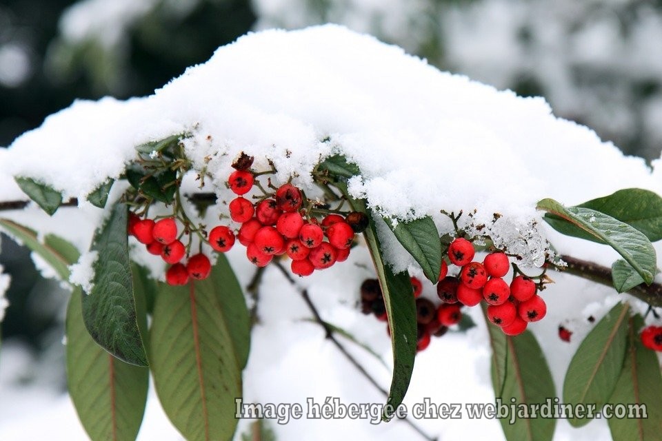 262db28491fbbeff955f07ca33ded9f5.jpg 262db28491fbbeff955f07ca33ded9f5.jpg