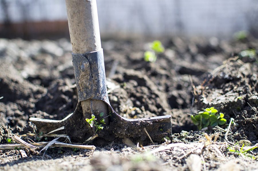 Les outils à main de jardinage