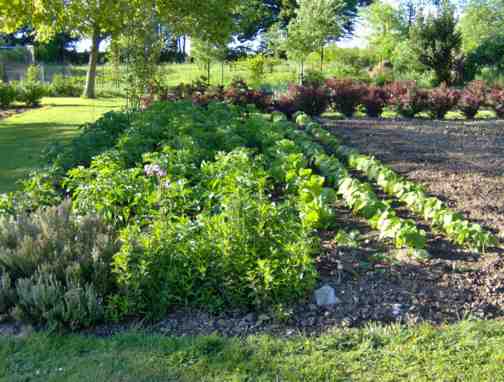 1 quart du potager web