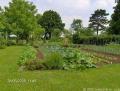 potager 021 web