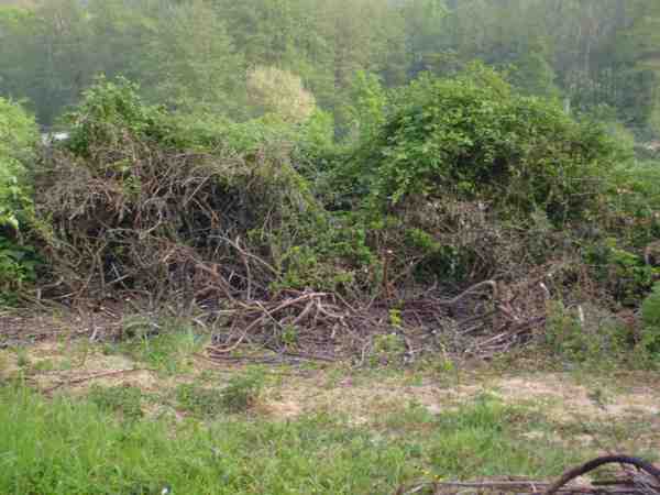 reste  faire pour futur potager