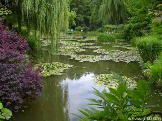 le jardin d eau  7 web