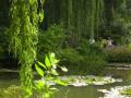 le jardin d eau  5 web