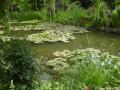 le jardin d eau  6 web