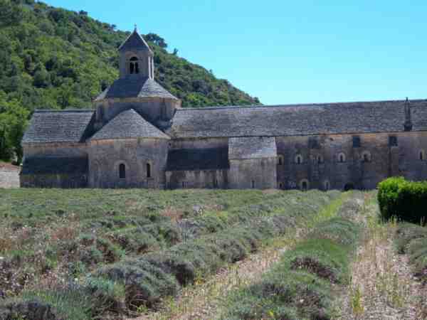 abbaye et champ de lavande