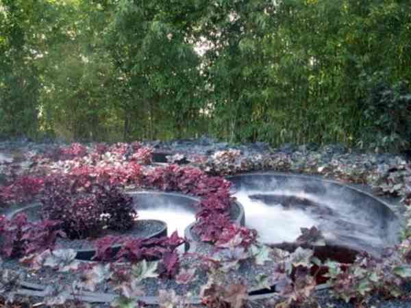 jardin volcanique