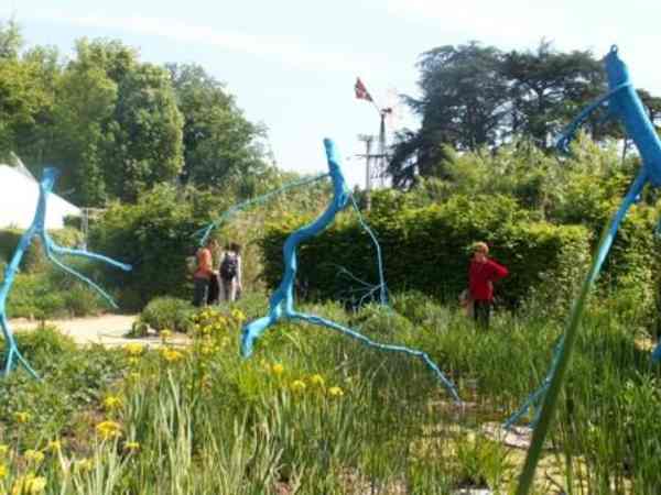 le jardin des arbres bleus