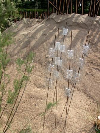 la dune aux escargots