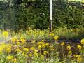 etant donné...un jardin