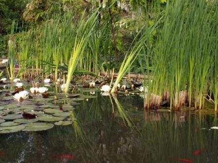 jardin exprimental