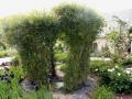 jardin expérimental