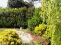 jardin à l'anglaise
