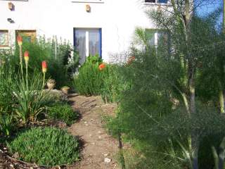 Allée du jardin