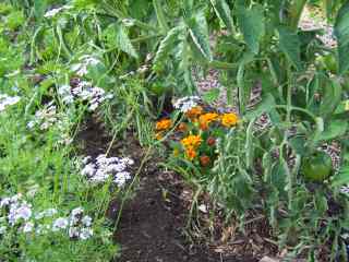 Joyeux fouillis ! Joyeux fouillis !