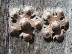 détail des clous de la porte des notaires