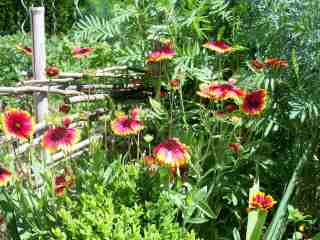 Les gaillardes