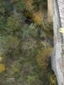 automne