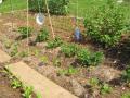 des planches pour circuler