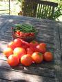 Tomates  toutes les sauces !